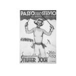 Passo dello Stelvio